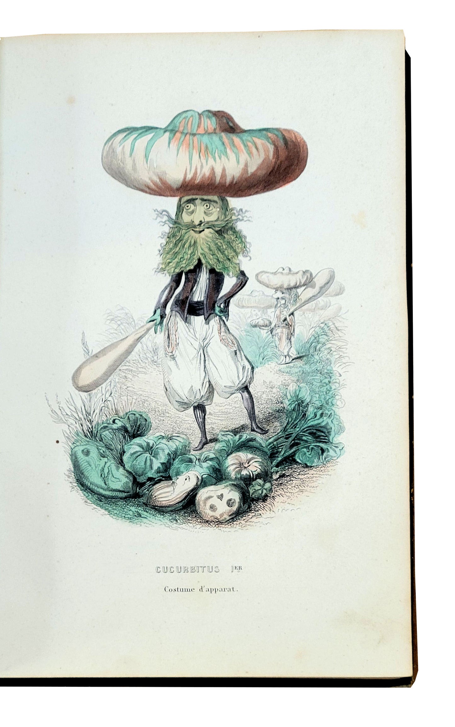 Amédée VARIN