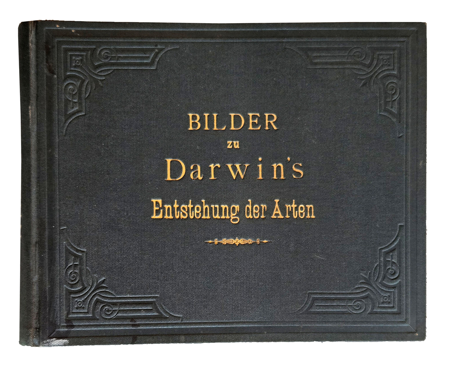ANTI-DARWINISM