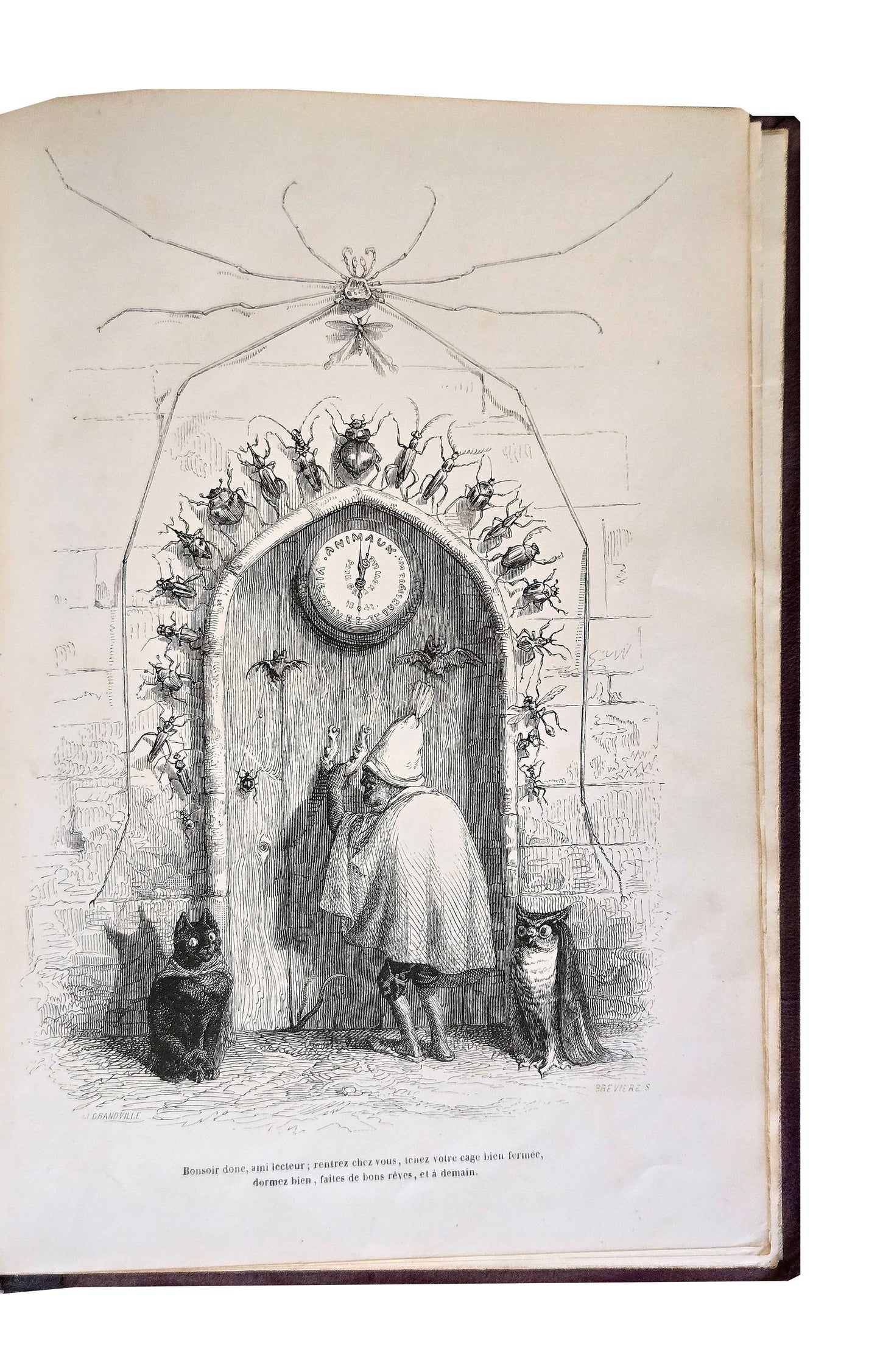 J.J. GRANDVILLE