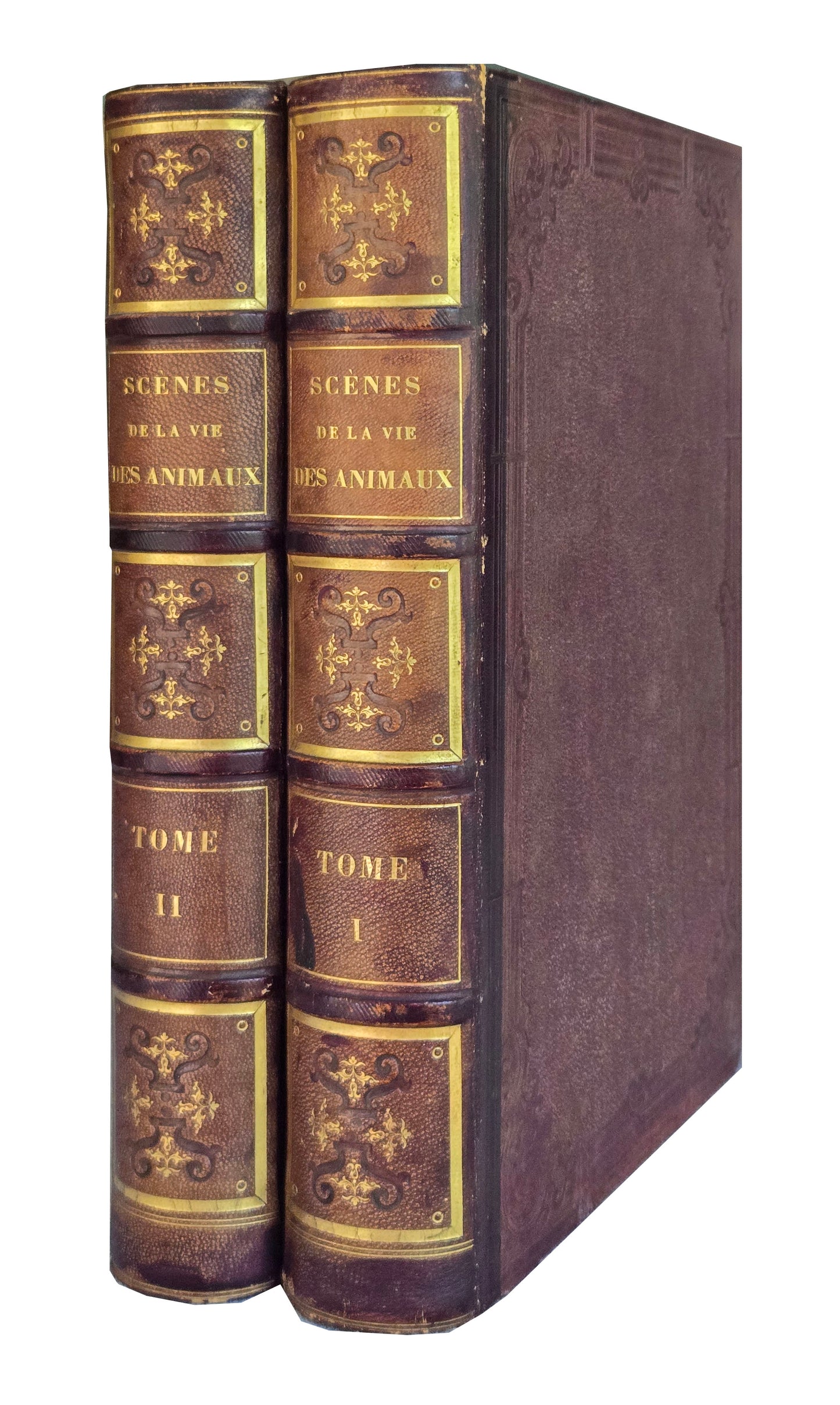 J.J. GRANDVILLE