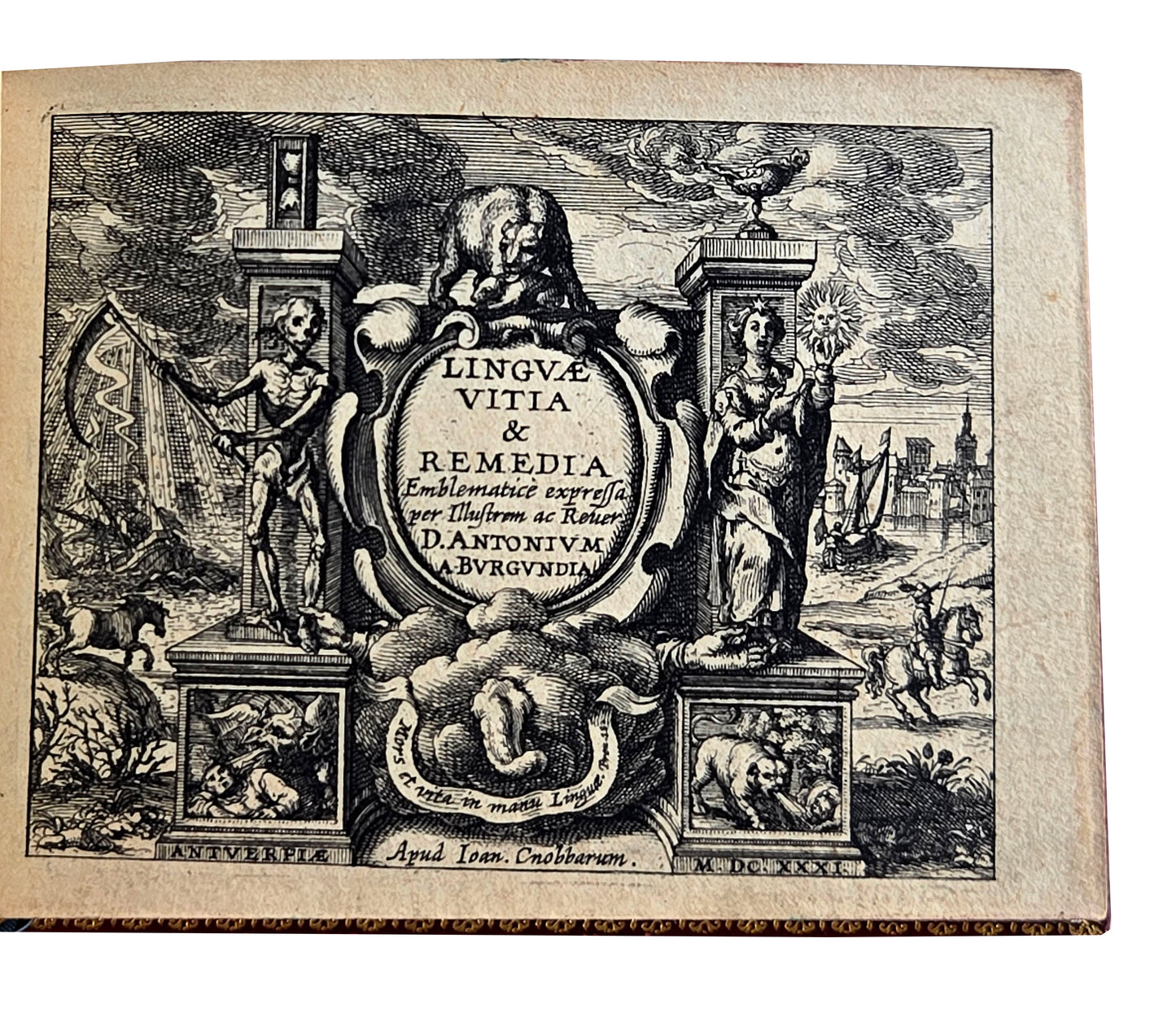 Antonius à BURGUNDIA