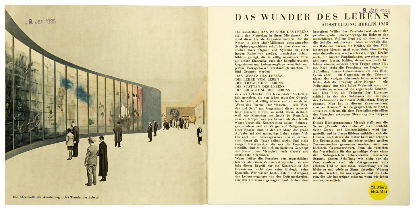 Herbert BAYER