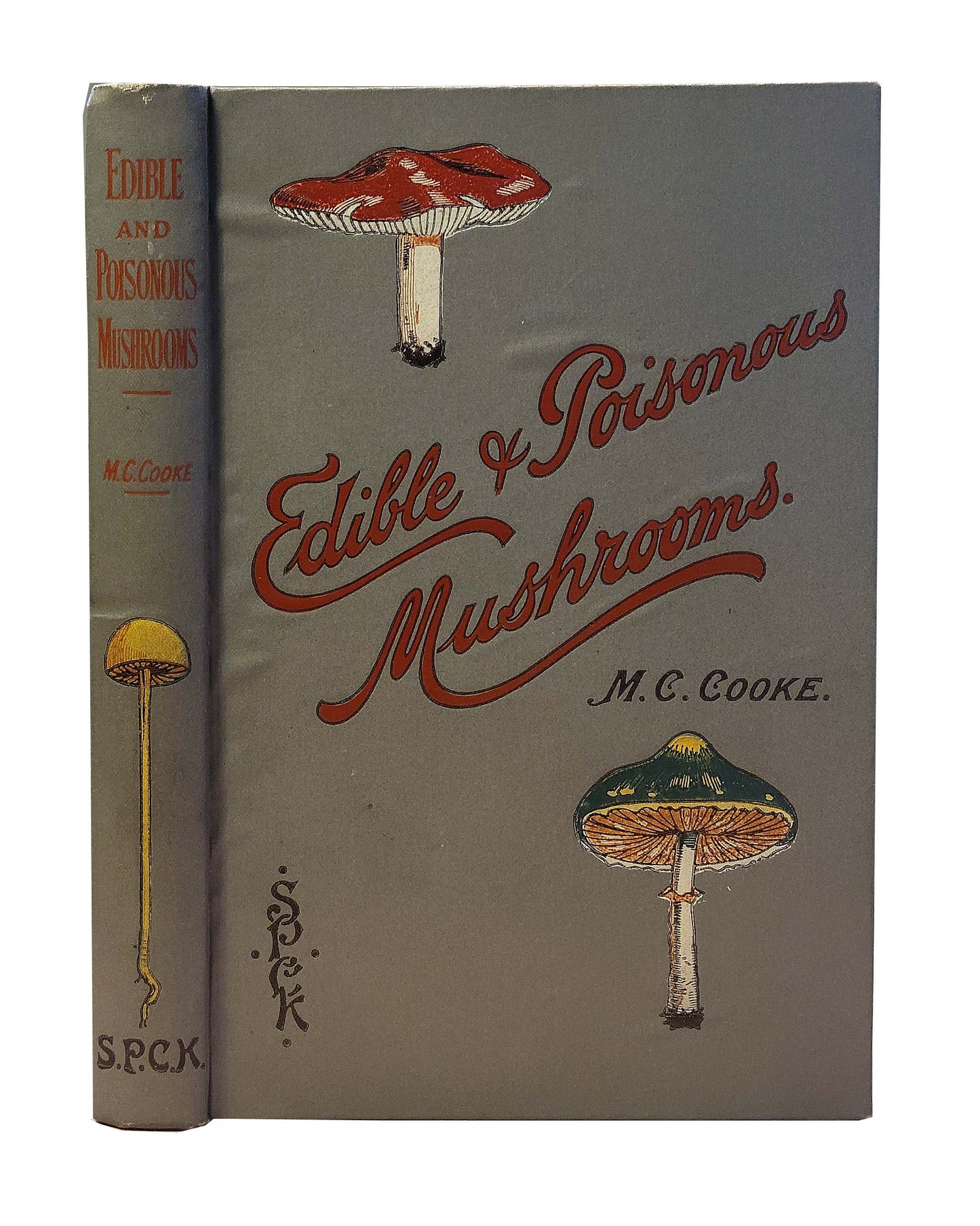 MUSHROOMS