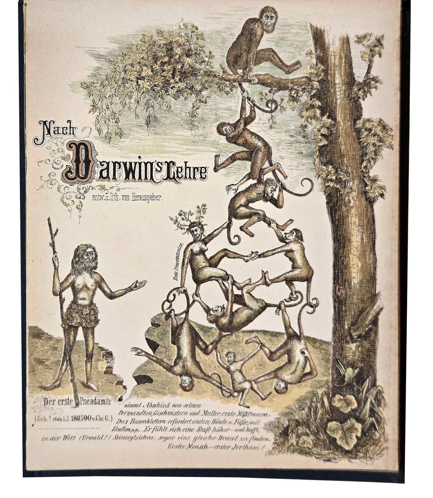 ANTI-DARWINISM