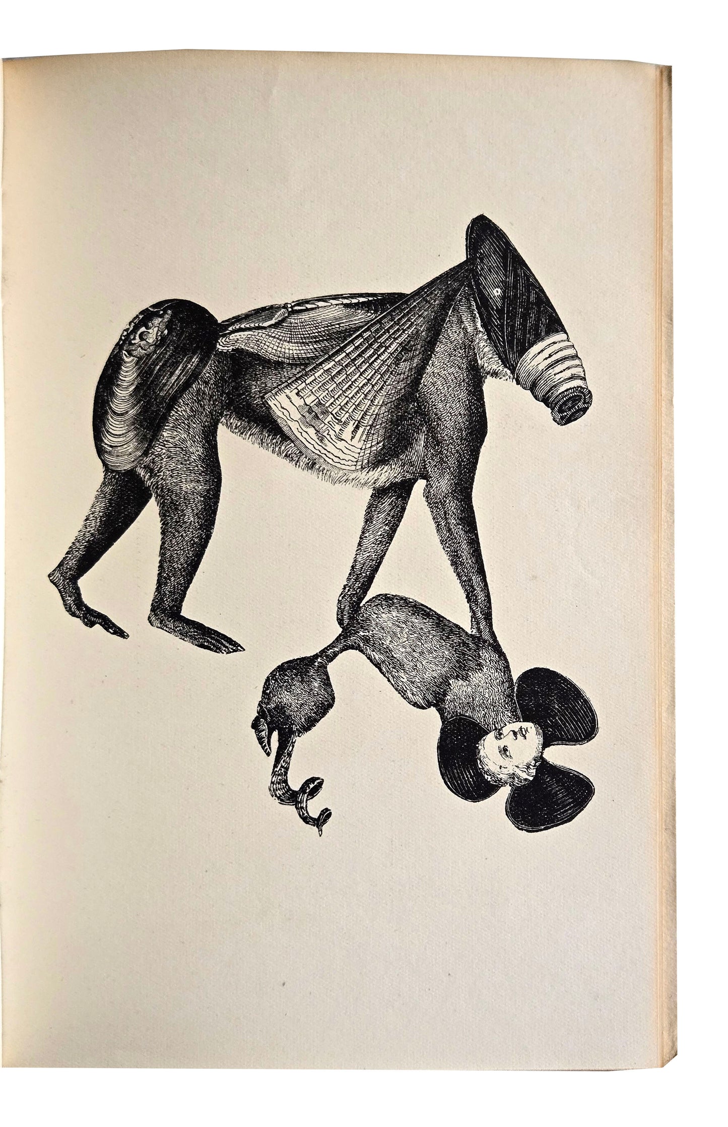 Max ERNST