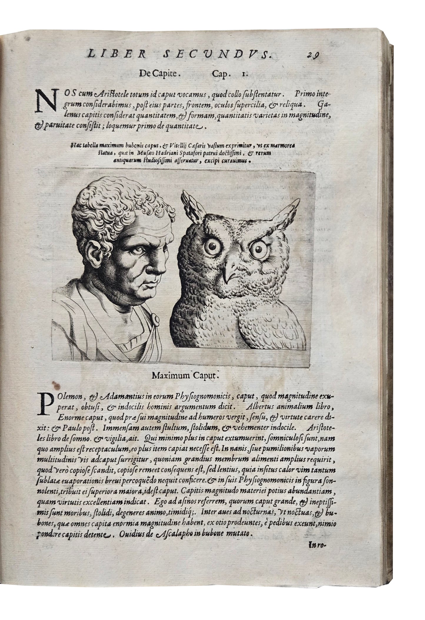 Giovanni Battista Della Porta