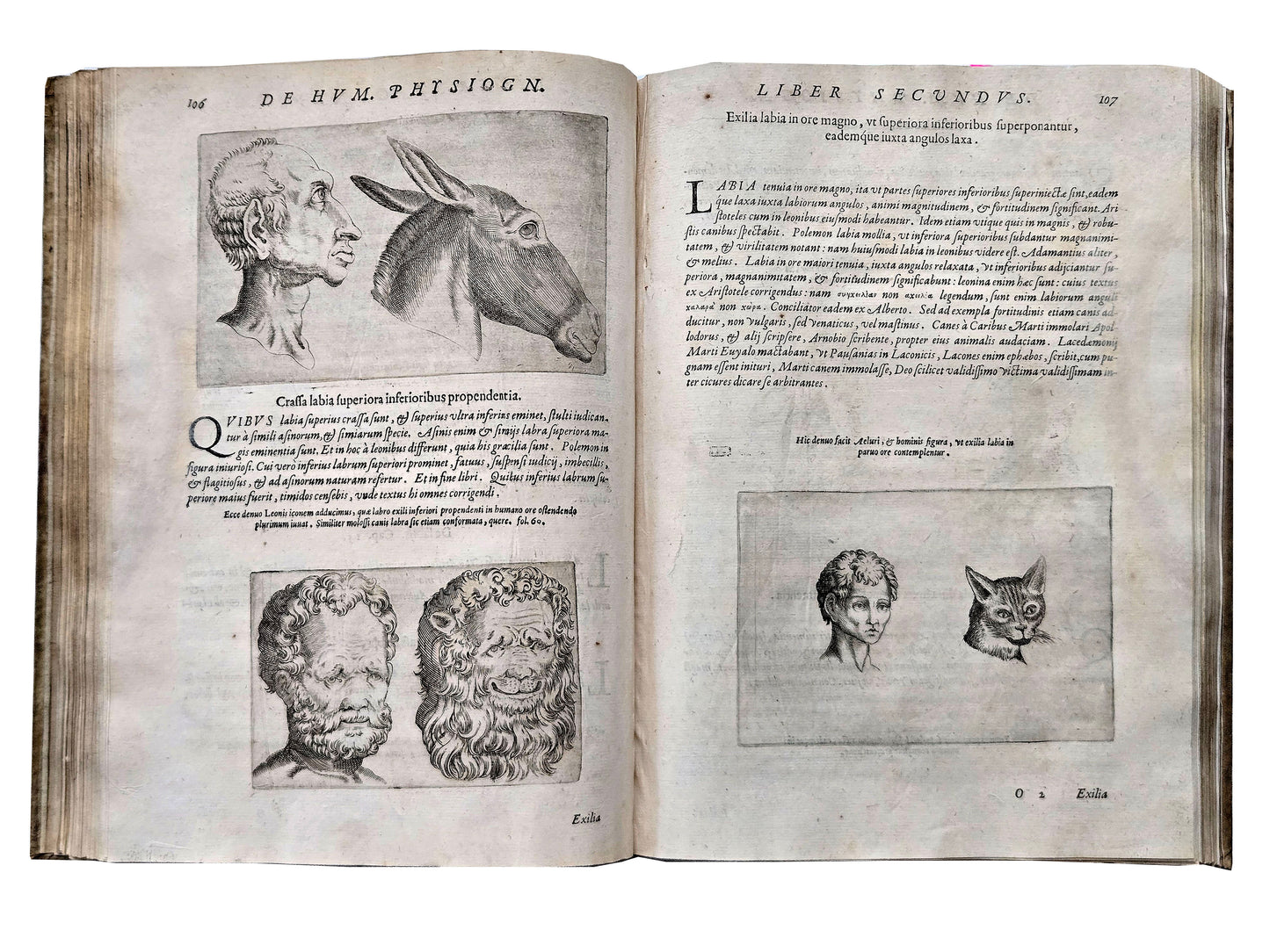 Giovanni Battista Della Porta