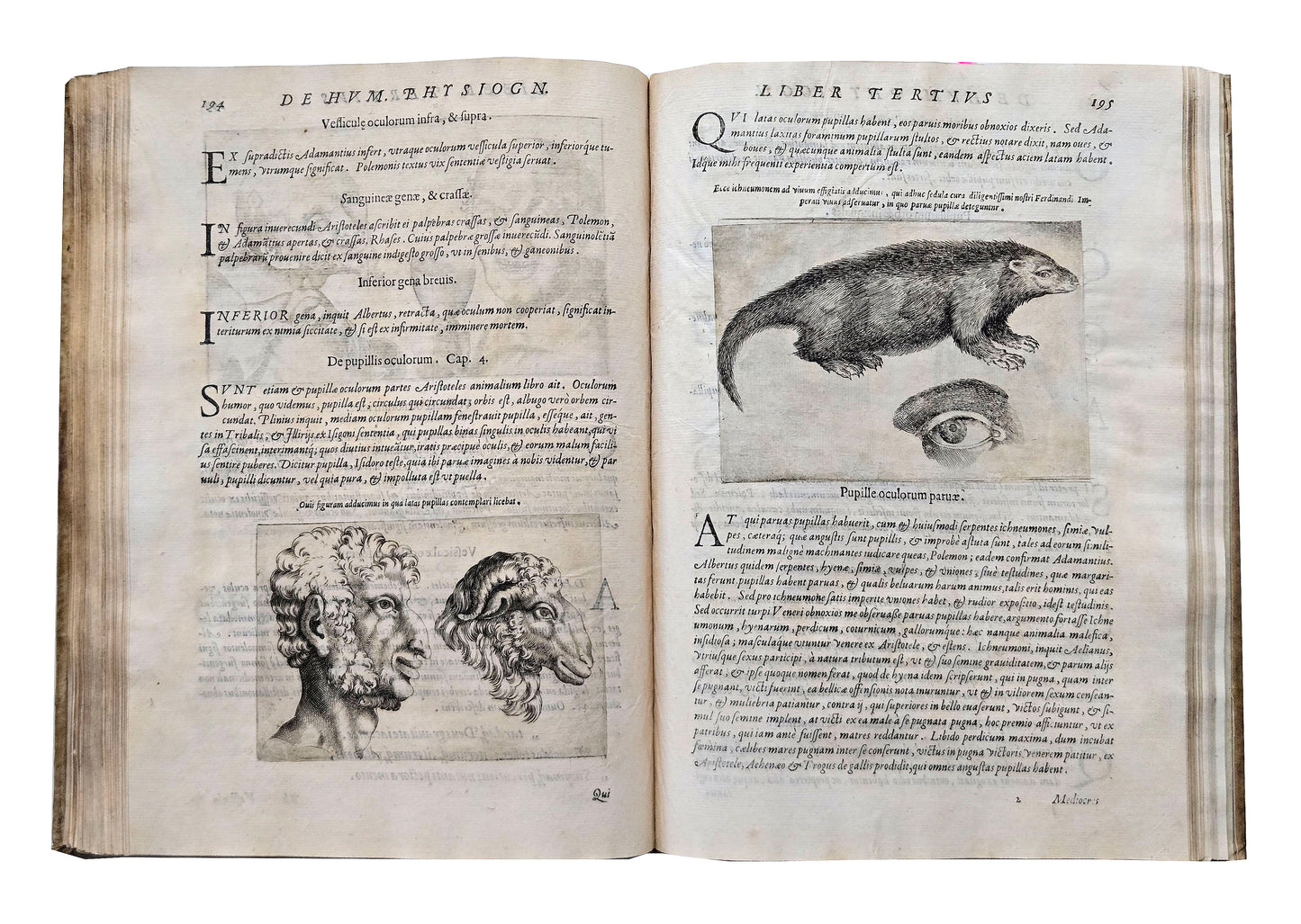 Giovanni Battista Della Porta