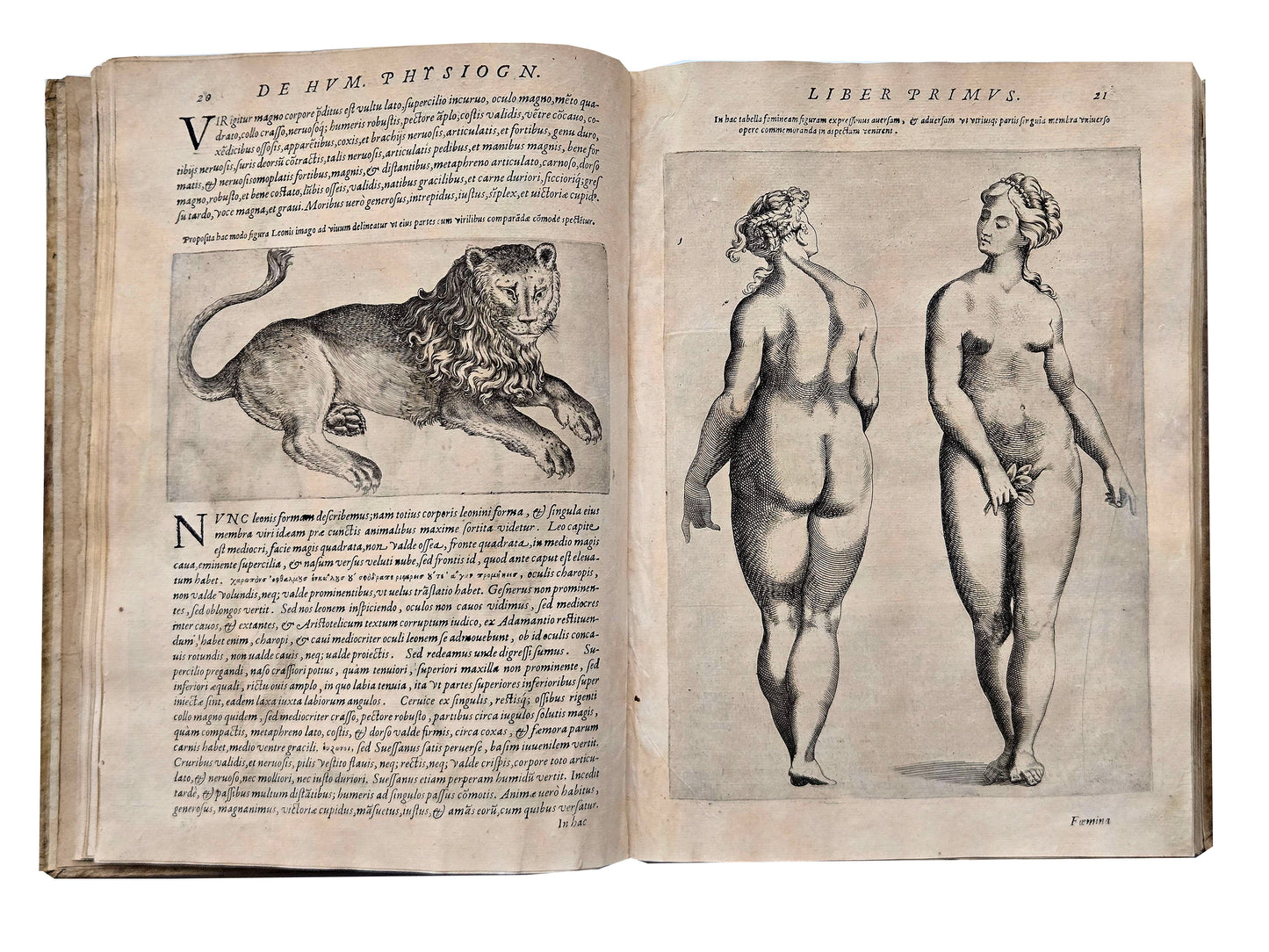 Giovanni Battista Della Porta