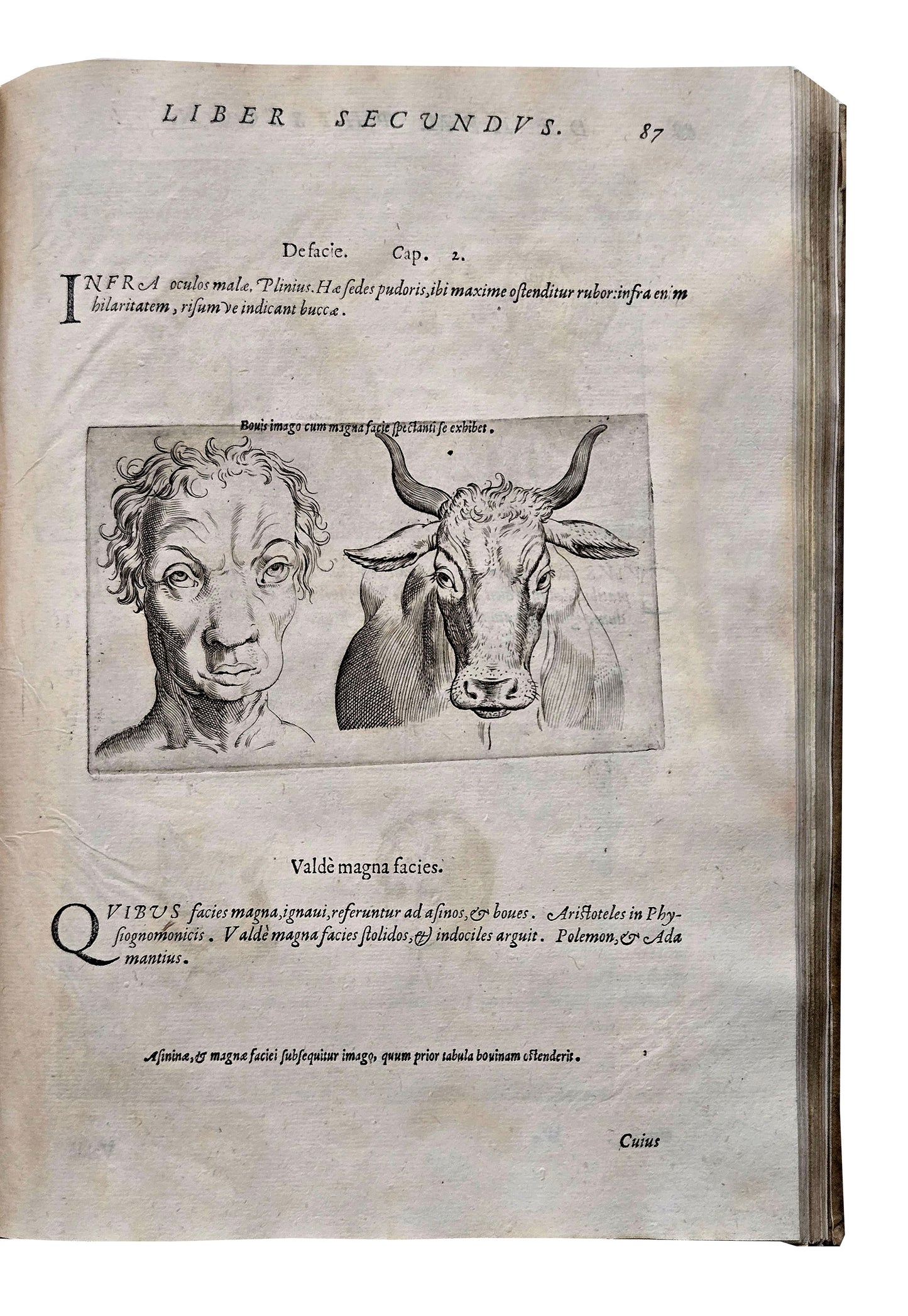 Giovanni Battista Della Porta