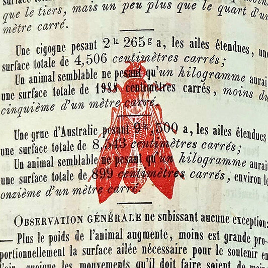 Gabriel de LA LANDELLE