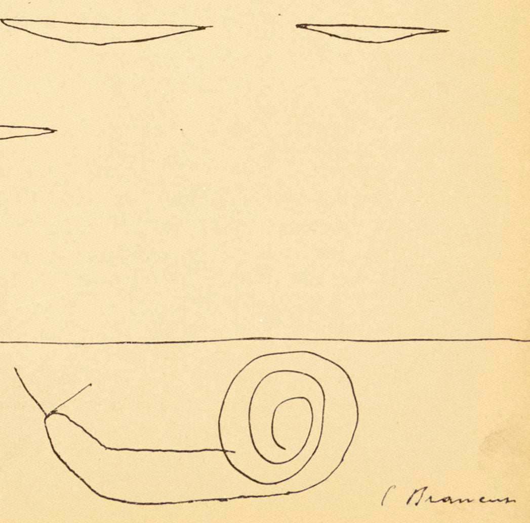 Constantin BRANCUSI