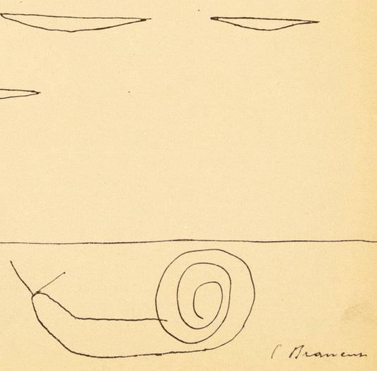 Constantin BRANCUSI