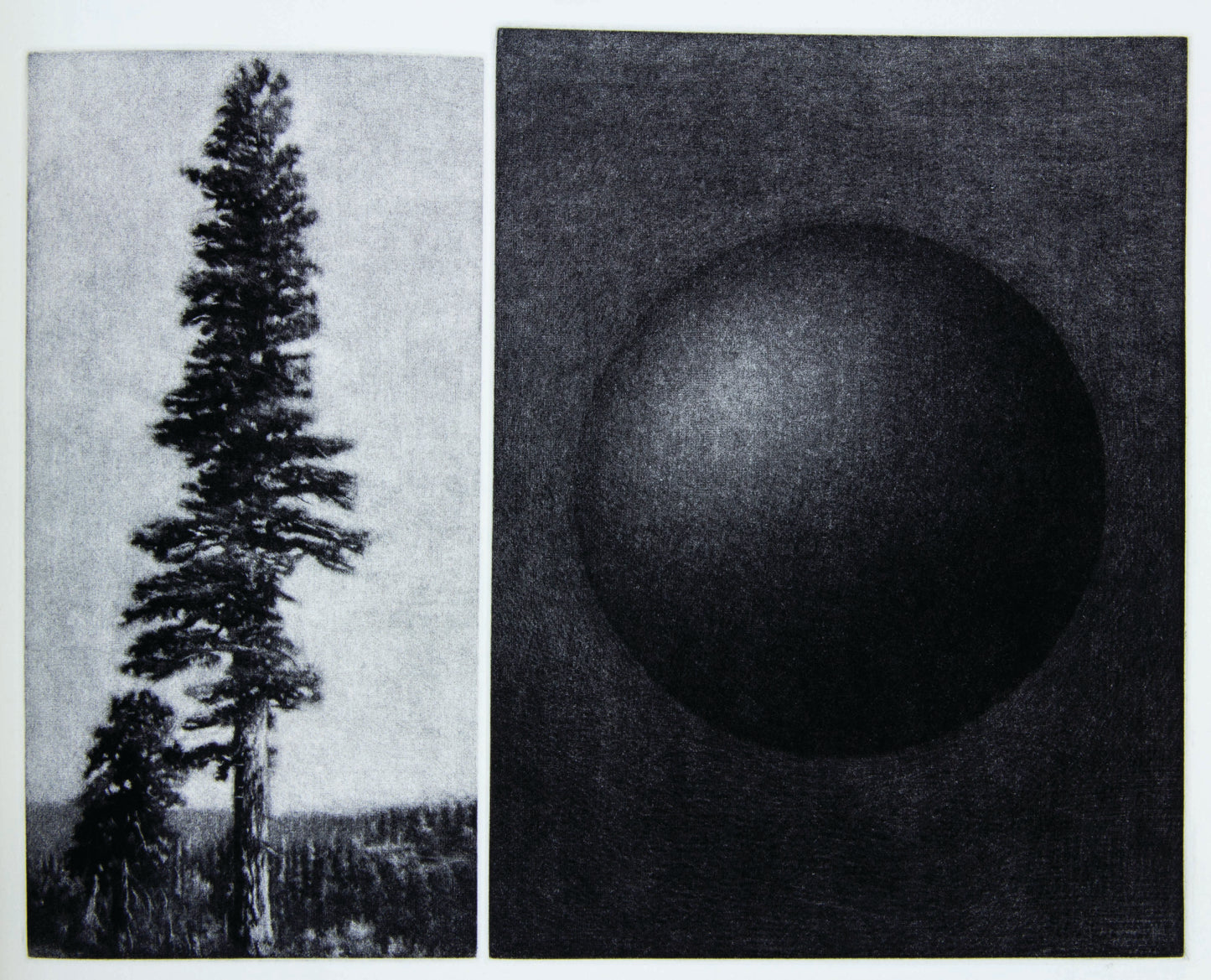 Vija CELMINS