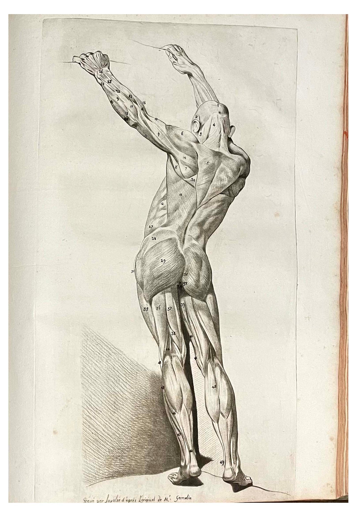Jacques GAMELIN