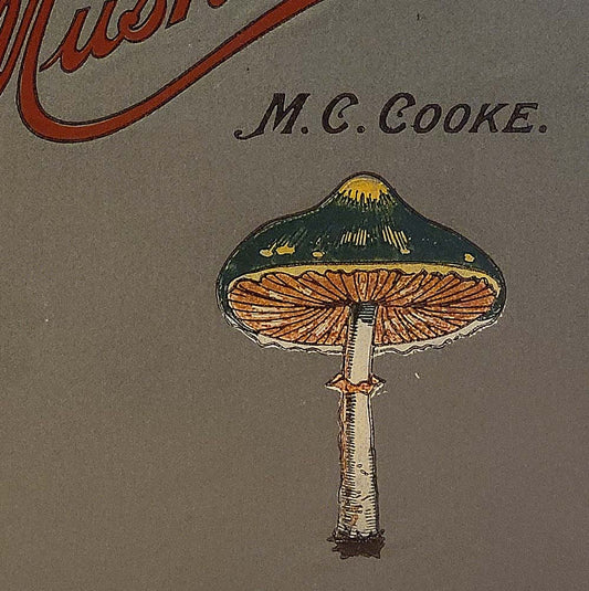 MUSHROOMS